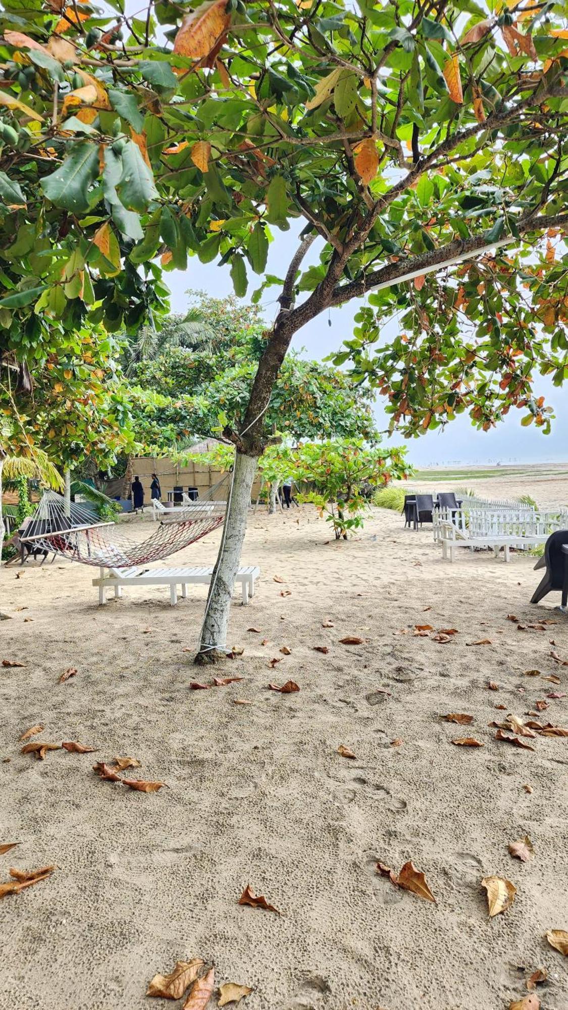 Palm Beach Resort, Alleppey Alappuzha 외부 사진