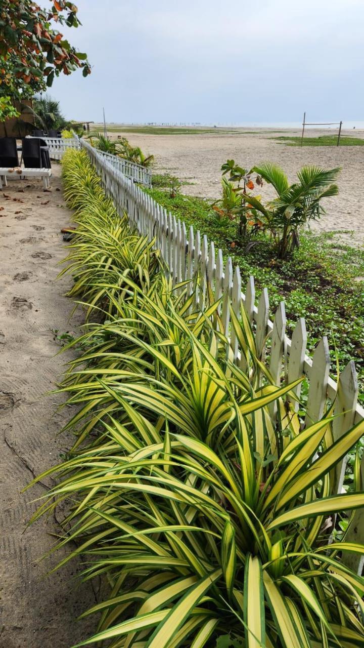 Palm Beach Resort, Alleppey Alappuzha 외부 사진